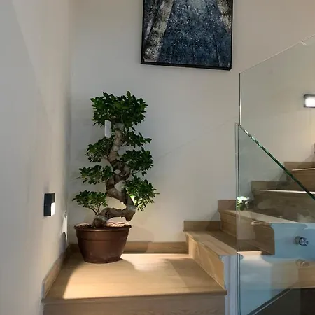 Central Lux Bed & Breakfast